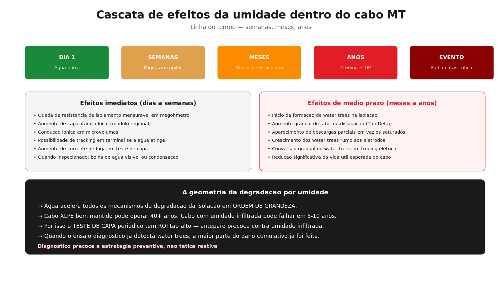 Cascata de efeitos da umidade no tempo — dias, semanas, meses, anos